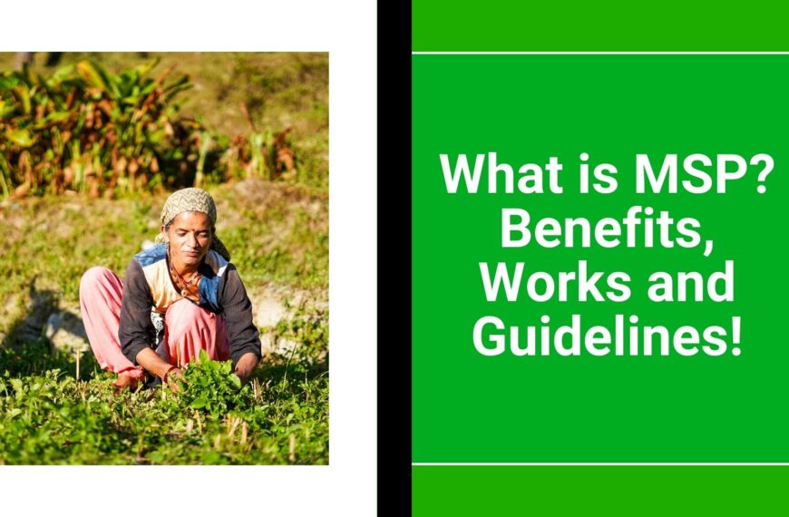 What is MSP Benefits, Works and Guidelines!