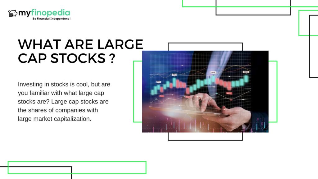 What are Large Cap Stocks